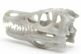 Carved Labradorite Dinosaur Skull #218490-5